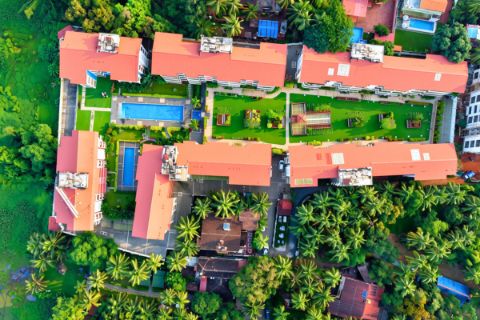 A bird's-eye view of the society