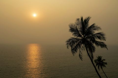 A Goan sunset through the palms